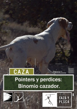 Pointers y perdices: Binomio cazador