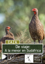 De viaje: a la menor en Sudáfrica