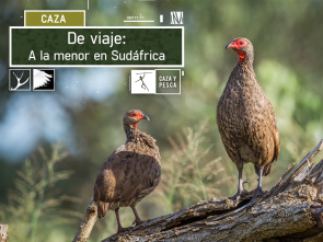 De viaje: a la menor en Sudáfrica