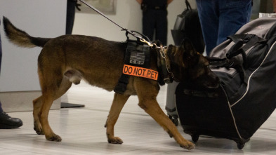 Control de aeropuertos: Avisos de seguridad 