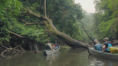 Mundos inexplorados...: Gabón: expedición al paraíso selvático