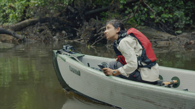 Mundos inexplorados...: Gabón: expedición al paraíso selvático