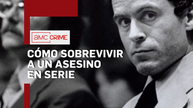 Cómo sobrevivir a un asesino en serie 