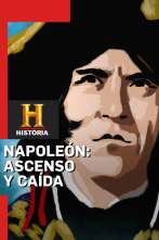 Napoleón: Ascenso y caída