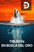 Tiburón: en busca del oro