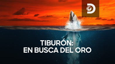 Tiburón: en busca del oro