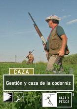 Gestión y caza de la Codorniz