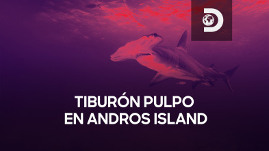 Tiburón pulpo en Andros Island