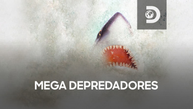 Mega depredadores