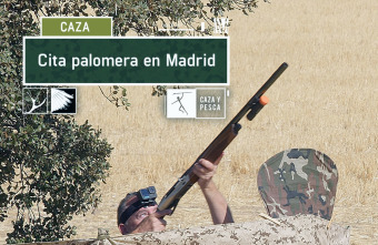 Cita palomera en Madrid