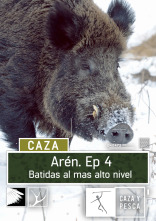 Aren (T1): Aren, batidas al más alto nivel