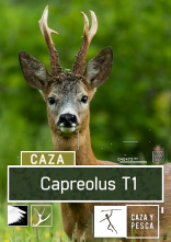 Capreolus (T1)