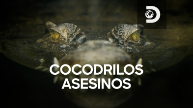 Cocodrilos asesinos