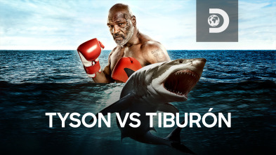 Tyson vs tiburón