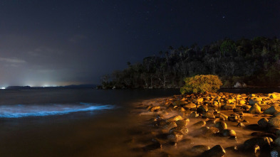 Arqueología en la...: La criatura del lago Eacham