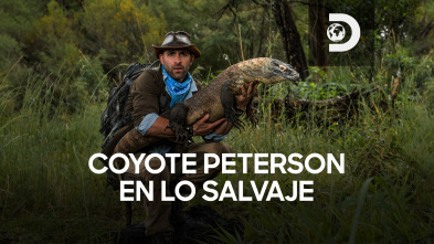 Coyote Peterson en lo...: Una serpiente pitón colosal