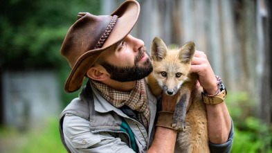 Coyote Peterson en lo salvaje 