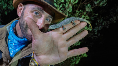 Coyote Peterson en lo salvaje 