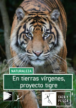 En tierras vírgenes. Proyecto tigre