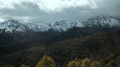 China desconocida: El bosque nuboso / La selva y el karst