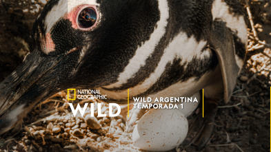 Wild Argentina: Tierra de agua