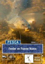 Feeder en Puente Nuevo