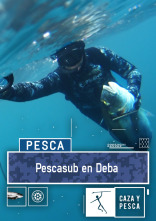 Pescasub en Deba