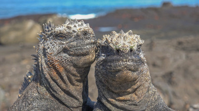 Espiando en el océano: Relaciones