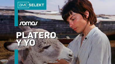 Platero y yo