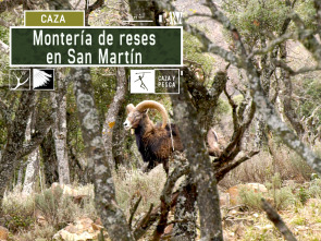 Montería de reses en San Martín