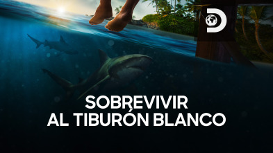 Sobrevivir al tiburón blanco