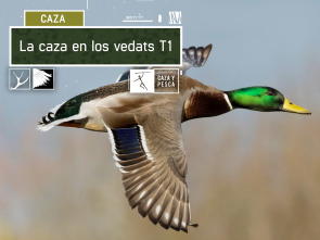 La caza en los Vedats (T1)