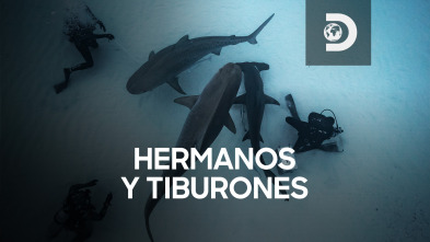 Hermanos y tiburones