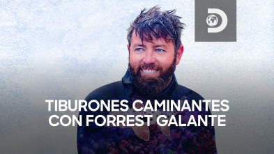 Tiburones caminantes con Forrest Galante