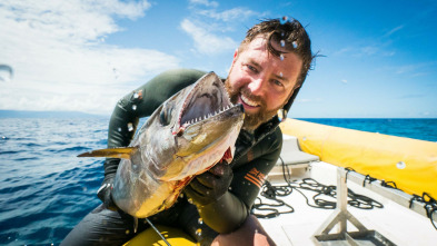 Tiburones caminantes con Forrest Galante