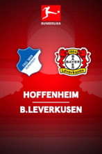 Jornada 10: Hoffenheim - Bayer Leverkusen