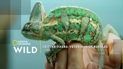 Critter fixers: Veterinarios rurales 