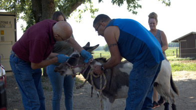 El Increíble Doctor Pol: El Dr. Pol va a Washington