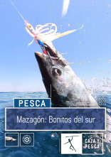 Mazagón: bonitos del Sur