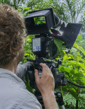 Cómo se hizo Planeta...: Cómo se hizo Bosques