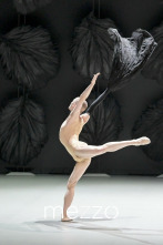Malandain Ballet Versailles: Les Saisons