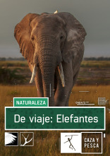 De viaje: Elefantes