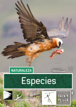 Especies (T3)