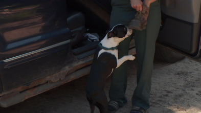 El Increíble Doctor Pol: Cachorro nuevo en la oficina