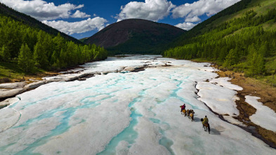 Guardianes de los bosques: Mongolia