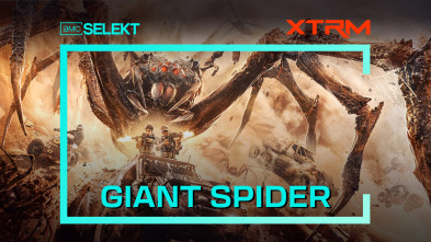 Giant Spider