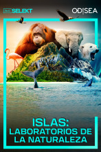 Islas: laboratorios de la naturaleza 