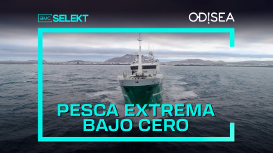 Pesca extrema bajo cero 