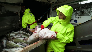 Pesca extrema bajo cero: Defensa