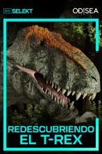 Redescubriendo el T-Rex